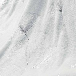 De gros ???? Paris Prix Plaid Imprimé Bloomy 125x150cm Blanc ⭐ -Jardin Privé Shop unnamed file 2625