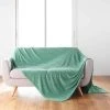 Acheter 🌟 Paris Prix Plaid Flanelle Uni Arya 180x220cm Sauge 🎁 -Jardin Privé Shop unnamed file 2627
