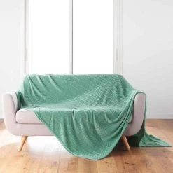 Acheter 🌟 Paris Prix Plaid Flanelle Uni Arya 180x220cm Sauge 🎁