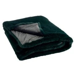 Meilleur prix ❤️ Paris Prix Plaid Imitation Fourrure Cutie 130x180cm Vert 🧨 6 Meilleur prix ❤️ Paris Prix Plaid Imitation Fourrure Cutie 130x180cm Vert 🧨 -Jardin Privé Shop unnamed file 2869