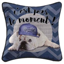 Coupon ✔️ Paris Prix Housse De Coussin ???? Doggy Cool 40x40cm Bleu ????